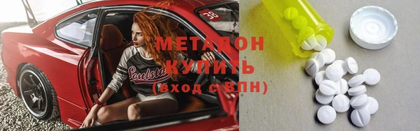 крисы Корсаков