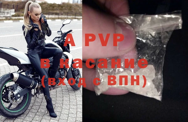PSILOCYBIN Кукмор