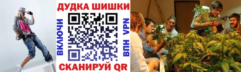 Бошки Шишки конопля Кондрово